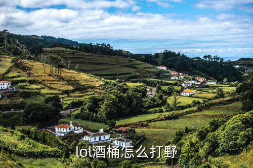 lol酒桶怎么打野