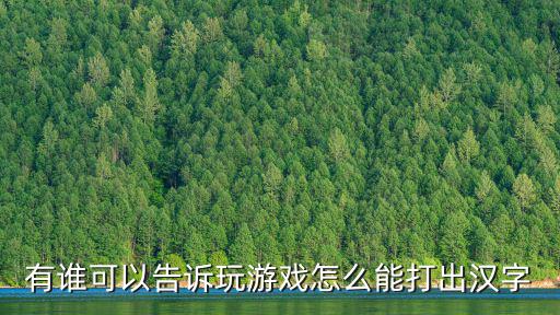 有谁可以告诉玩游戏怎么能打出汉字