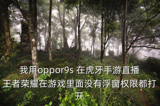 我用oppor9s 在虎牙手游直播王者荣耀在游戏里面没有浮窗权限都打开