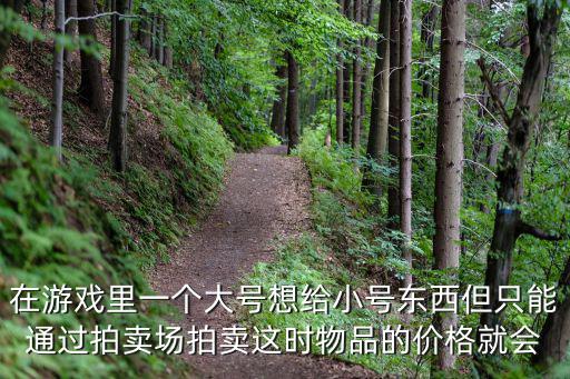 在游戏里一个大号想给小号东西但只能通过拍卖场拍卖这时物品的价格就会