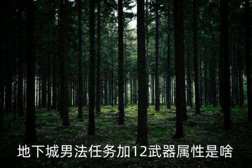 地下城男法任务加12武器属性是啥