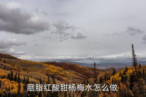 胭脂红酸甜杨梅水怎么做