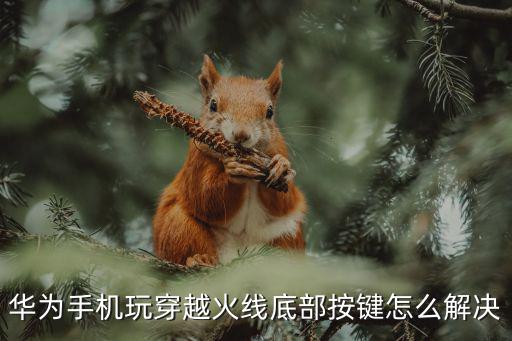 手机玩穿越火线手游断触怎么解决，华为mate8玩穿越火线手游触屏失灵走着走着突然停了准心不能