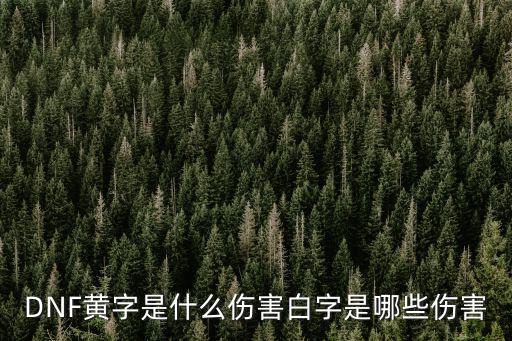 DNF黄字是什么伤害白字是哪些伤害