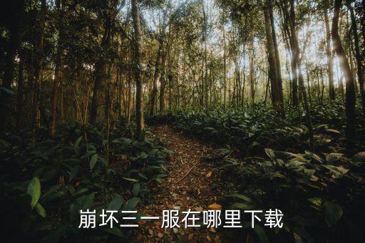 崩坏三一服在哪里下载