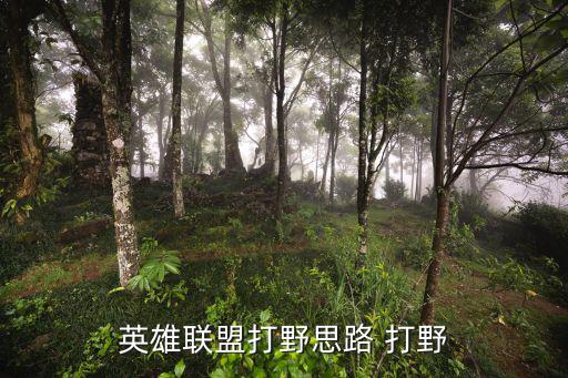 英雄联盟打野思路 打野