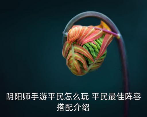 阴阳师手游平民怎么玩 平民最佳阵容搭配介绍