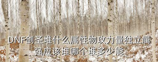 DNF剑圣堆什么属性物攻力量独立属强应该堆哪个堆多少能