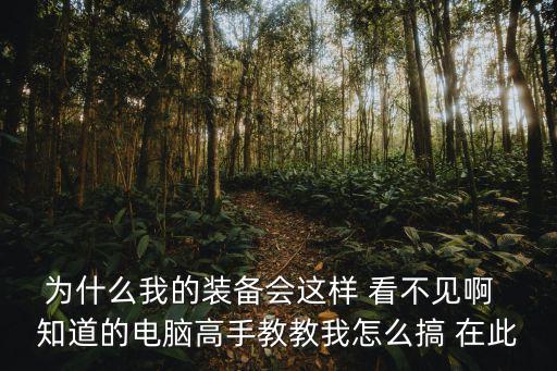 为什么我的装备会这样 看不见啊  知道的电脑高手教教我怎么搞 在此