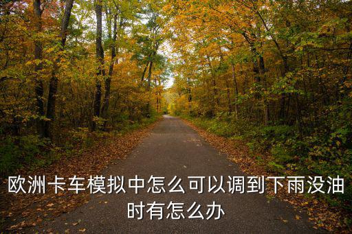 欧洲卡车模拟中怎么可以调到下雨没油时有怎么办