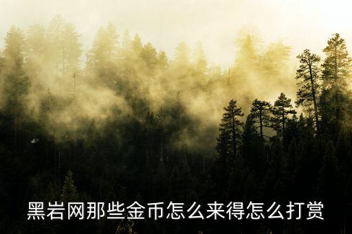 黑岩网那些金币怎么来得怎么打赏