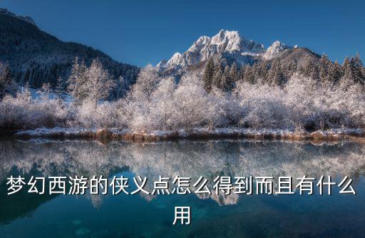 梦幻西游的侠义点怎么得到而且有什么用