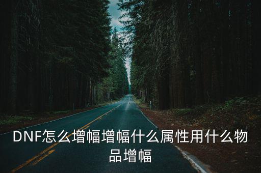 dnf剑帝增幅什么属性，剑帝增幅书选什么属性