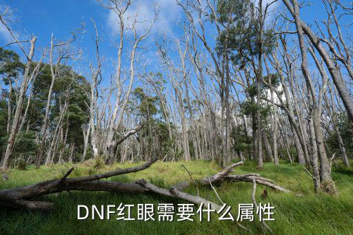 dnf红眼要什么红字属性，DNF现在强打红字怎么选属性啊