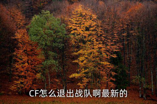 cf手游战队怎么退出最新，cf怎么退战队最新版本