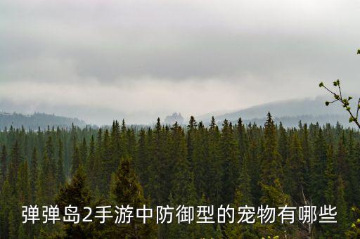 弹弹岛2手游中防御型的宠物有哪些