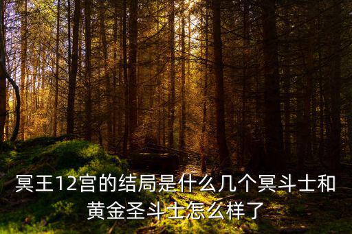 冥王12宫的结局是什么几个冥斗士和黄金圣斗士怎么样了
