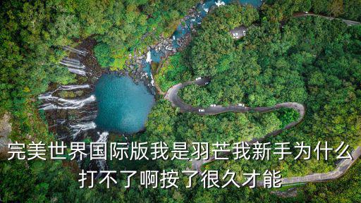 完美世界国际版我是羽芒我新手为什么打不了啊按了很久才能