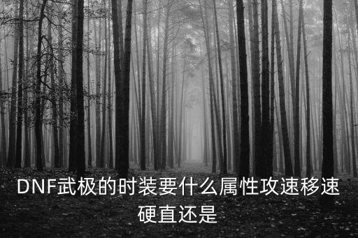 dnf宗师要什么属性攻击，dnf宗师需要暴击伤害么