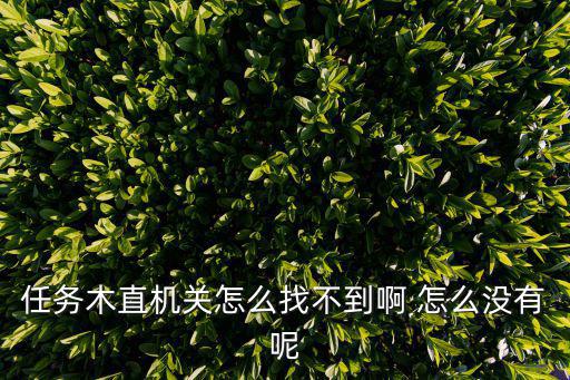 原神手游雷神岛木板机关怎么弄，任务木直机关怎么找不到啊 怎么没有呢