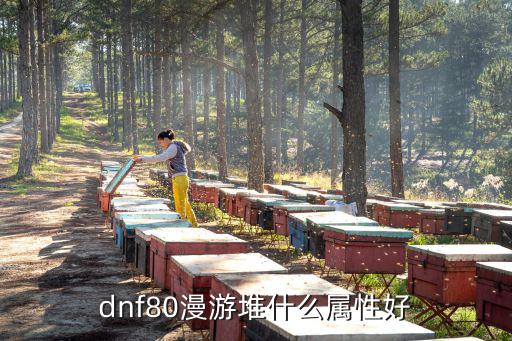 dnf漫游堆什么属性好点，dnf80漫游堆什么属性好