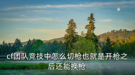 团队竞技手游怎么换枪，cf团队竞技中怎么切枪也就是开枪之后还能换枪