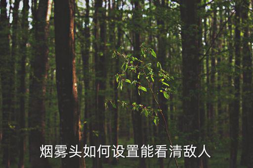 烟雾头如何设置能看清敌人
