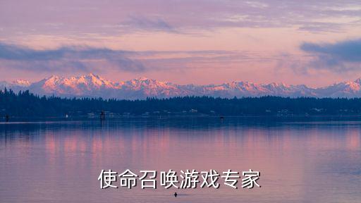 使命召唤游戏专家
