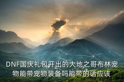 DNF国庆礼包开出的大地之哥布林宠物能带宠物装备吗能带的话应该