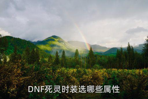 dnf死灵装扮属性选什么，DNF死灵时装选哪些属性