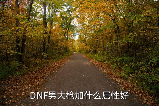 dnf男大枪武器什么属性，dnf男大枪武器附魔火属性还是光属性