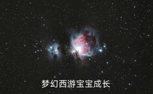 梦幻西游宝宝成长