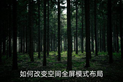 如何改变空间全屏模式布局