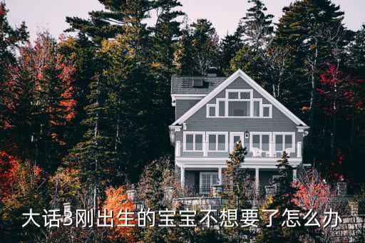 大话手游孩子不想要了怎么办，大话3刚出生的宝宝不想要了怎么办