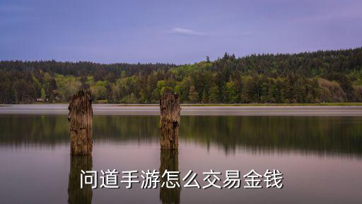问道手游怎么交易金钱