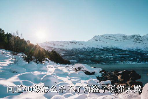 问道40级怎么杀不了海盗了说你太嫩
