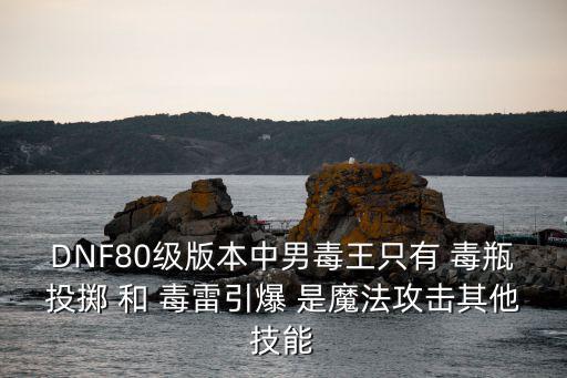 dnf毒雷引爆什么属性，DNF80级版本中男毒王只有 毒瓶投掷 和 毒雷引爆 是魔法攻击其他技能