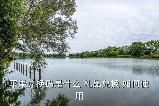 奇门手游ios系统怎么用兑换码，EA送的ios游戏兑换码从哪里输入