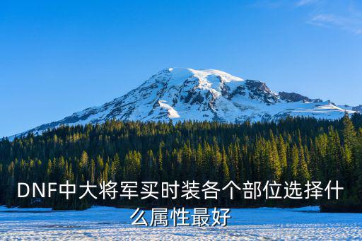 DNF中大将军买时装各个部位选择什么属性最好