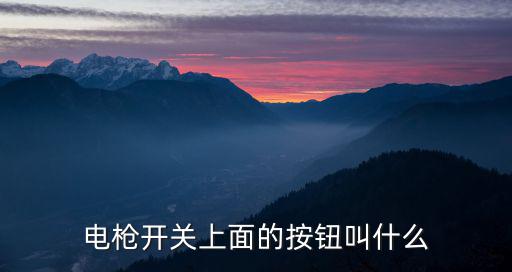 电枪开关上面的按钮叫什么