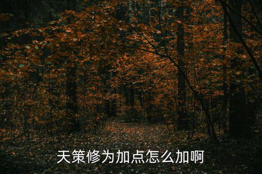 天策修为加点怎么加啊