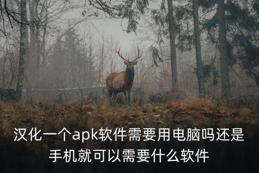 汉化一个apk软件需要用电脑吗还是手机就可以需要什么软件