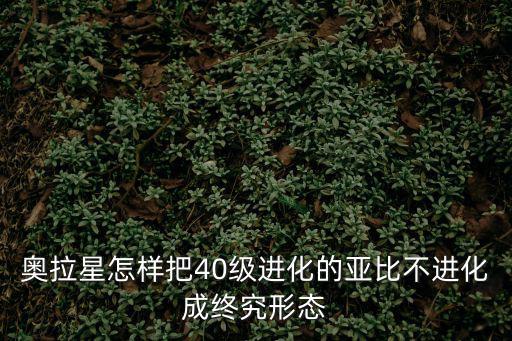 奥拉星怎样把40级进化的亚比不进化成终究形态