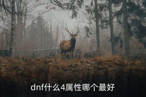 dnf什么4属性哪个最好