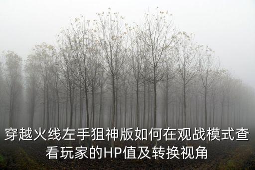 手游怎么看敌人视角数值，穿越火线左手狙神版如何在观战模式查看玩家的HP值及转换视角
