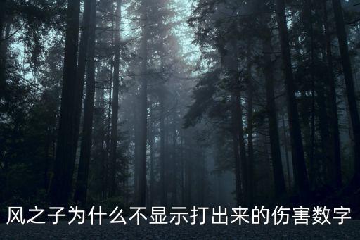 原神手游看不见数字伤害怎么办，打怪伤害的数字没有了你们有这情况么