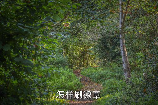 手游2k22徽章怎么刷，怎样获得 好2好2徽章