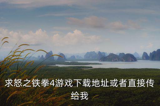 求怒之铁拳4游戏下载地址或者直接传给我