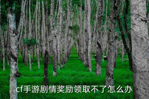 cf手游剧情奖励领取不了怎么办