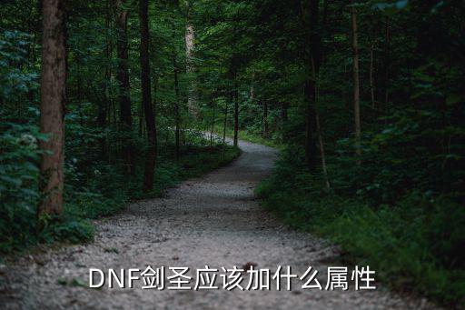 dnf剑圣面板看什么属性，DNF剑圣应该加什么属性